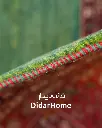 فرش دستباف قشقایی طرح ترنجی سه متری