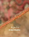 فرش دستباف مدرن همدان طرح ترنجی ذرع و نیم