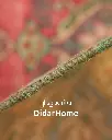 فرش دستباف مدرن تبریز طرح ترنجی سه متری