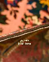 فرش دستباف آنتیک بختیاری طرح ترنجی ۴/۳۰ متری