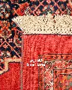 فرش دستباف بیجار طرح ترنجی ۴/۸۷ متری