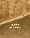 فرش دستباف مدرن تبریز طرح ترنجی ۵/۹۵ متری